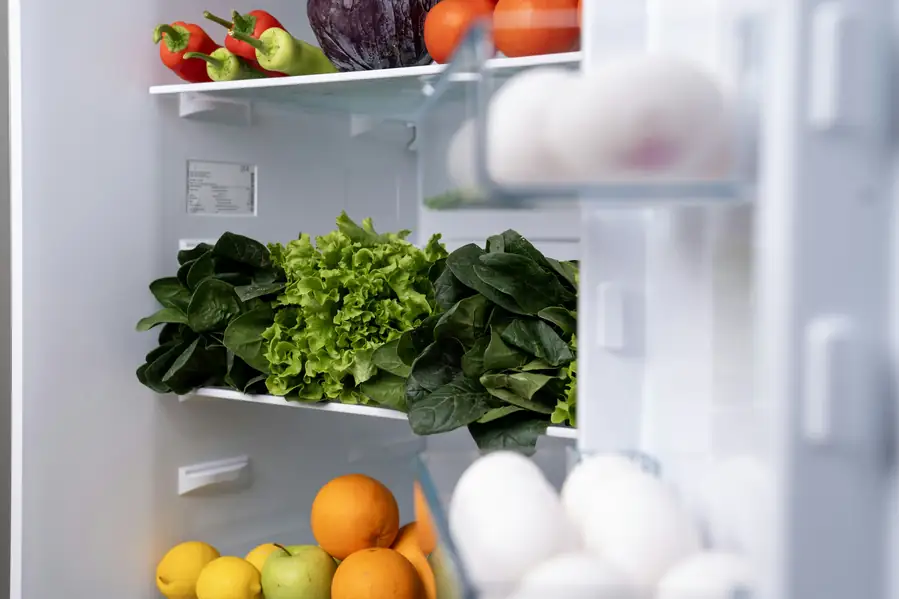Key features of undercounter refrigerators
