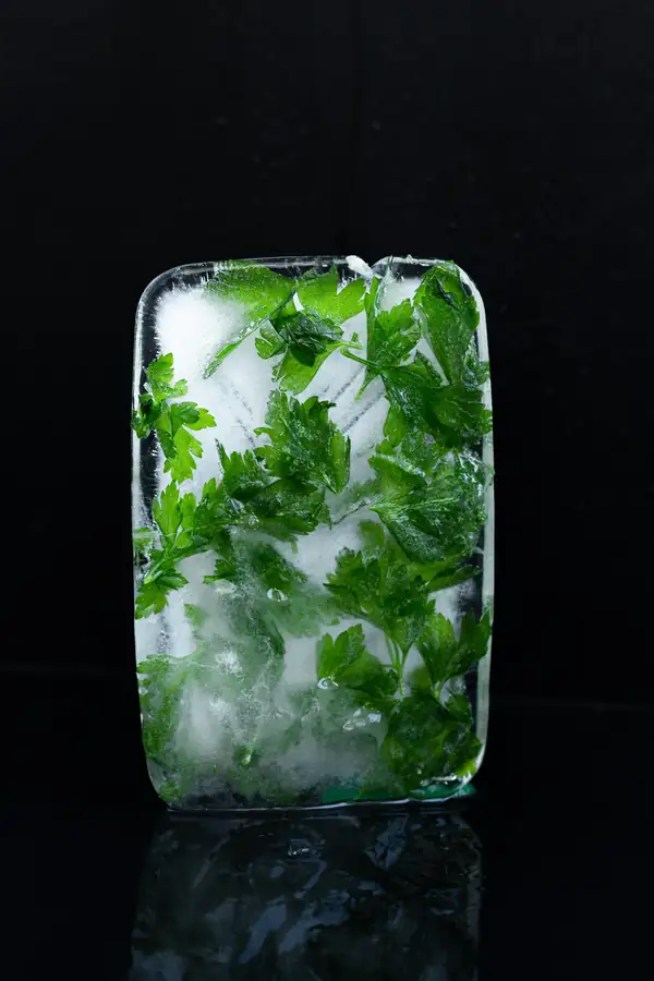 Eco-Friendly Commercial Glass Chiller