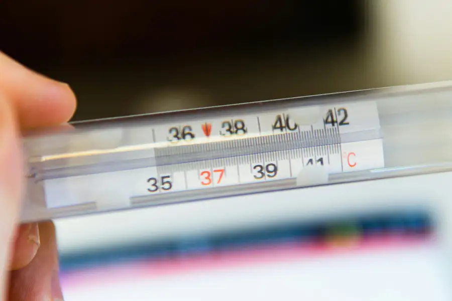 Thermometer measuring ideal draft beer temperature
