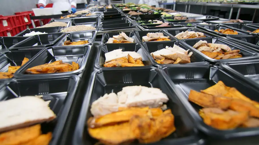 Energy-Efficient Food Warmers
