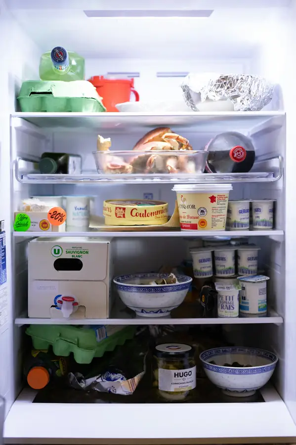 Freezer Maintenance