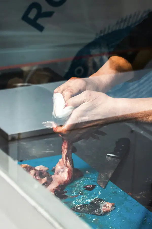 Person cleaning a meat slicer blade