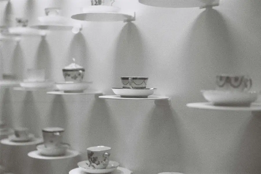 Various sized food processor bowls lined up