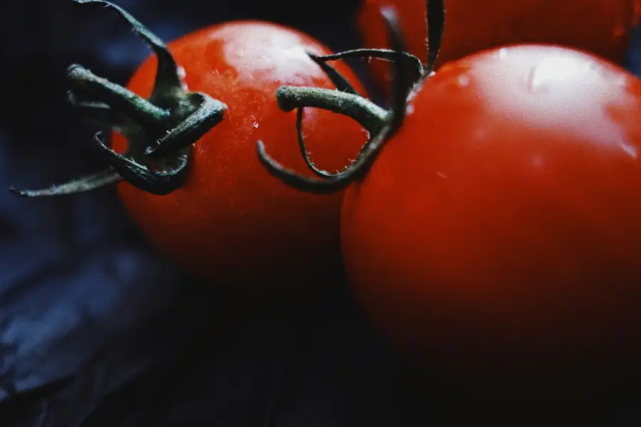 Waring Commercial WFP16S slicing tomatoes effectively