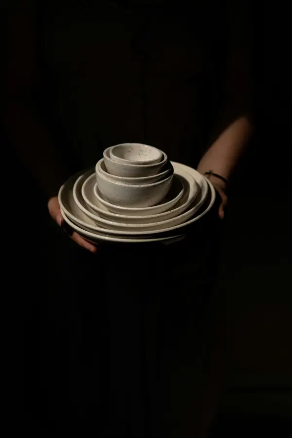 Luxury porcelain dinnerware set with modern design