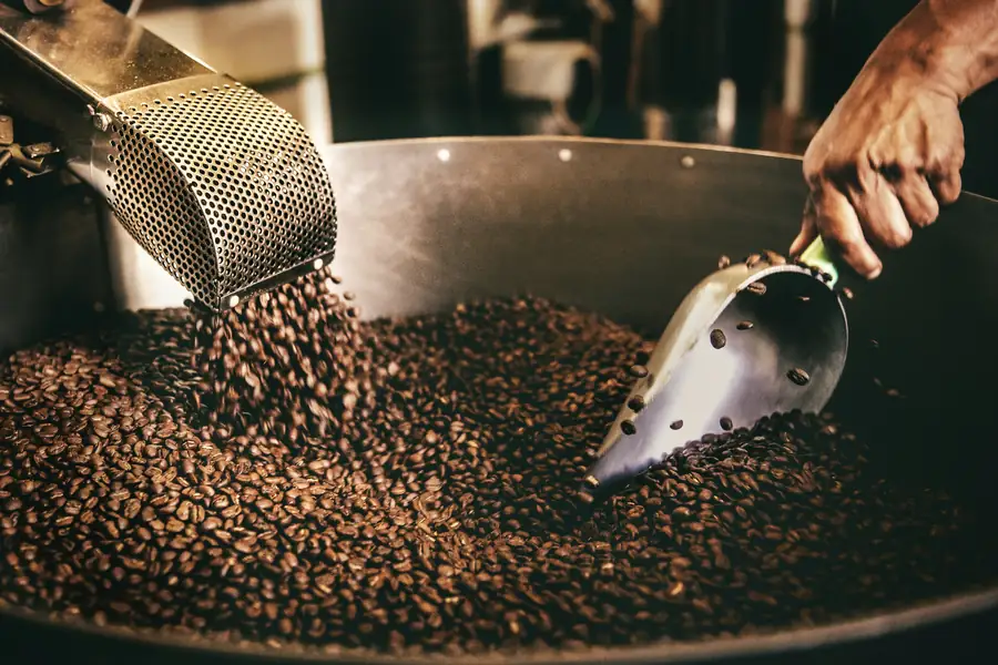 Image of various coffee beans and beverage supplies