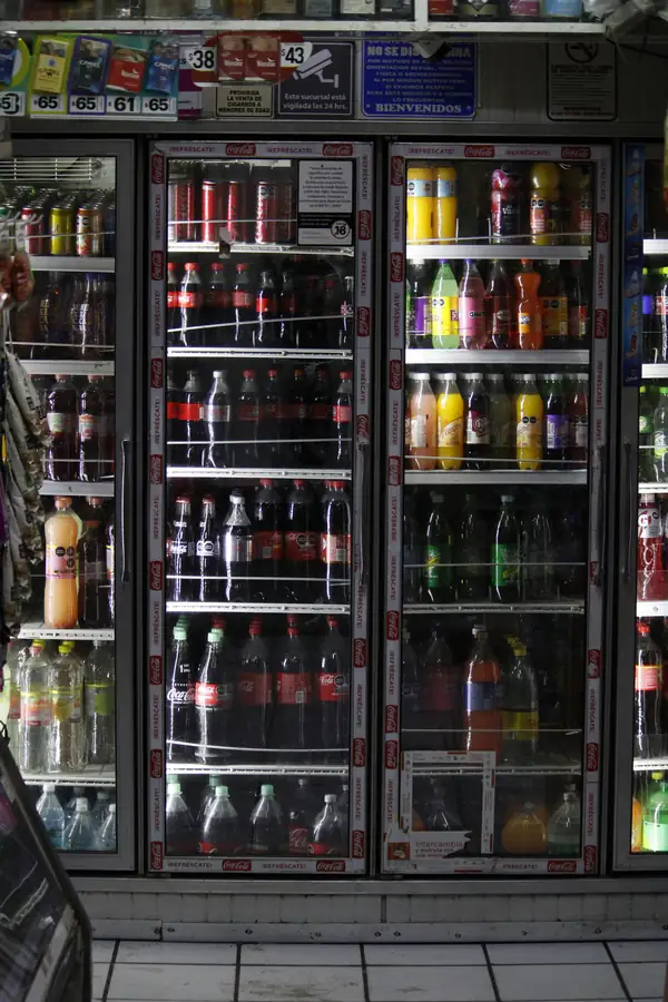 Business owner deciding on refrigeration options