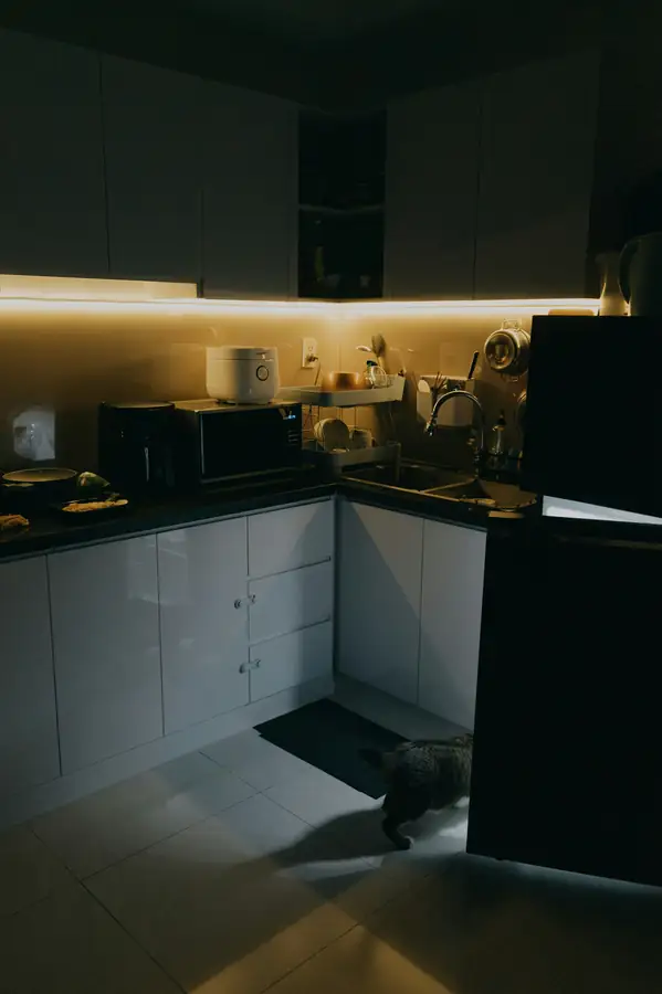 Installation of undercounter refrigerator in modern kitchen