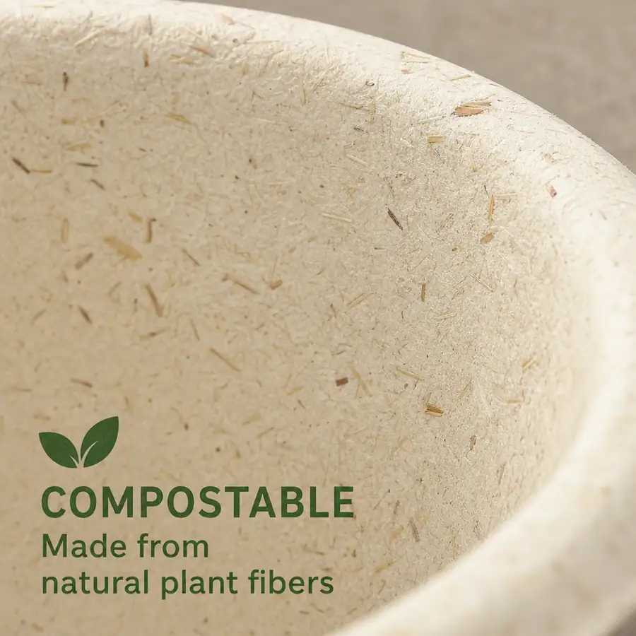 Sustainable takeout packaging alternatives made from plant-based and renewable materials