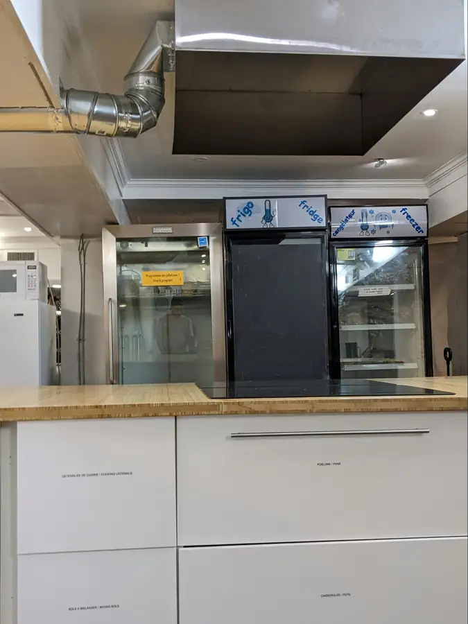Energy-efficient commercial freezer setup representing operational cost considerations