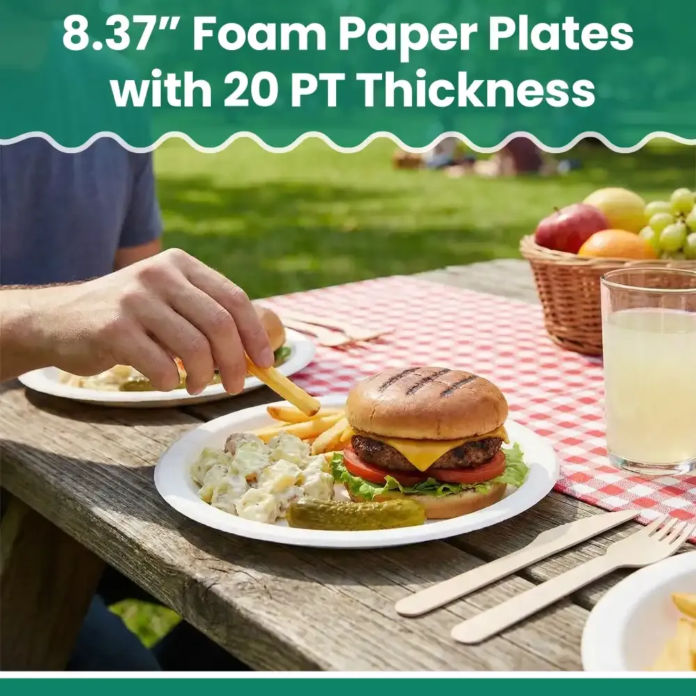 Dinelux Series Foam Paper Plate, Smoothwall Coated, 8.37", White, 500/Case