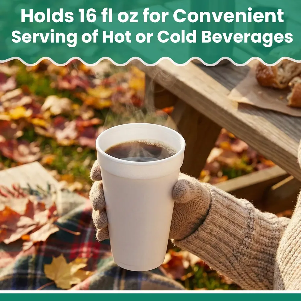 Dinelux Series 16 oz White Vio Cup, 500/Case