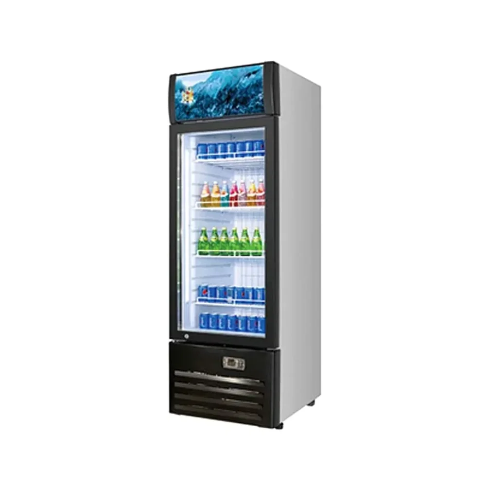 Frigomax Series 20" Commercial Merchandiser Refrigerator, 1 Swing Glass Door, Coated Steel, 1 Year Warranty