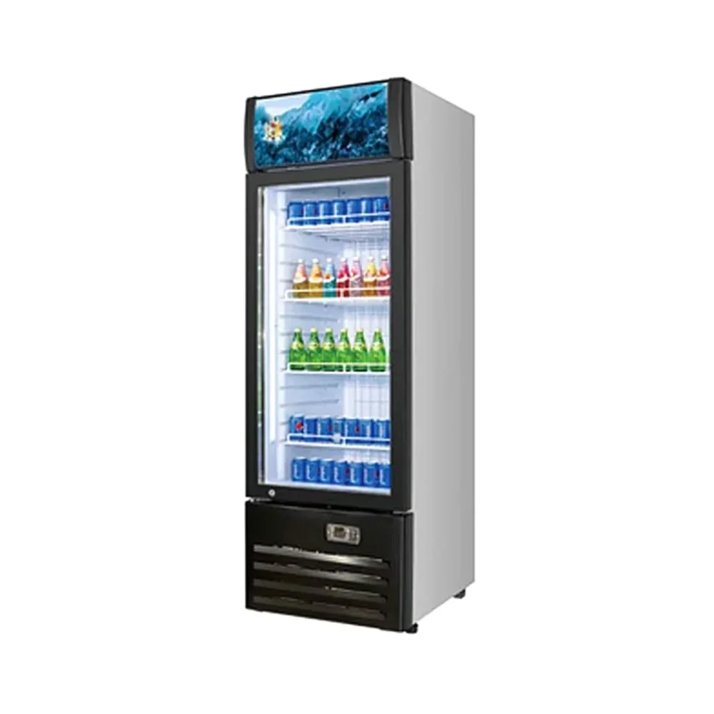 Frigomax Series 28" Commercial Merchandiser Refrigerator, 1 Swing Glass Door, Coated Steel, 1 Year Warranty