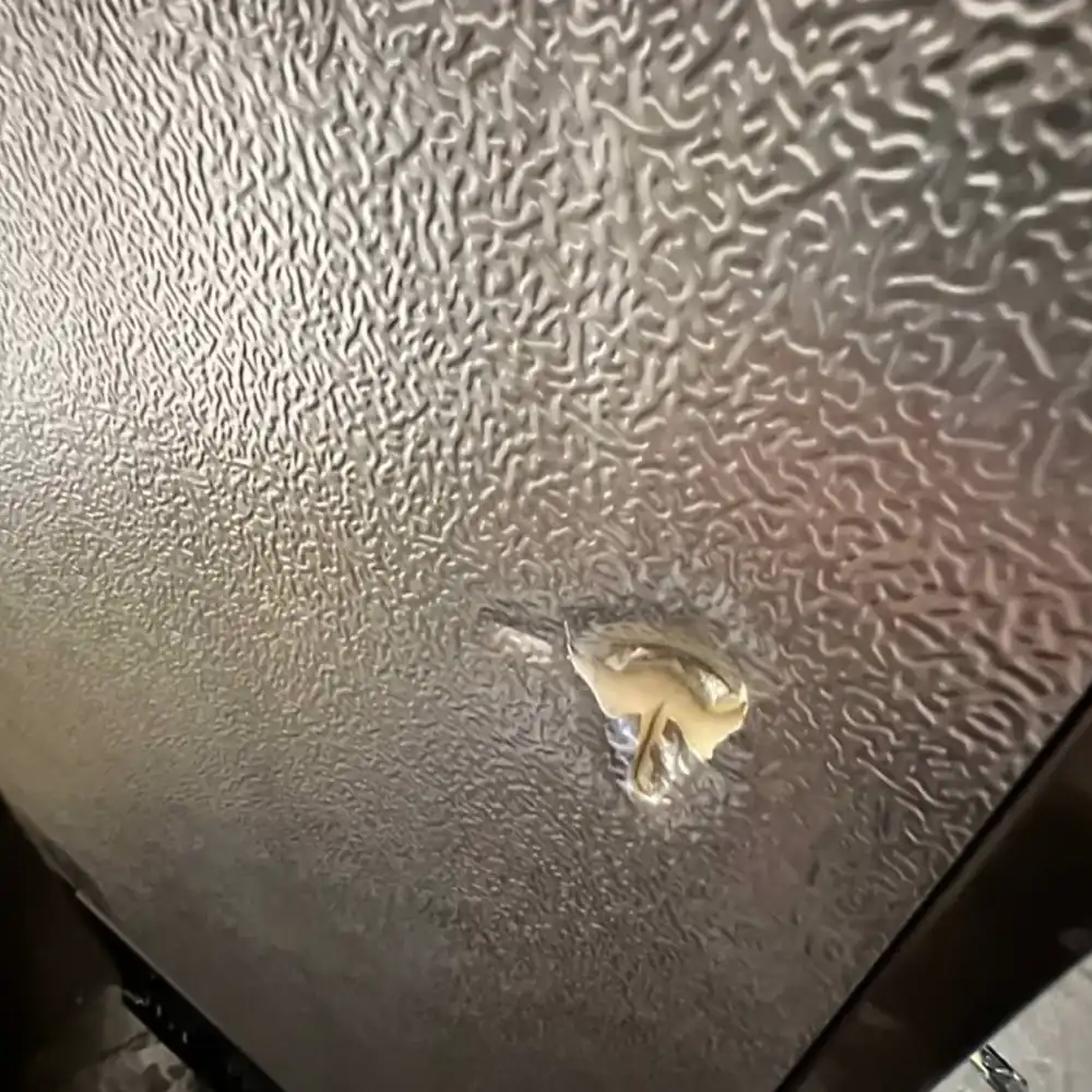 Used 32" Reach-In Freezer, 1 Solid Door, Stainless Steel, 1 Year Warranty