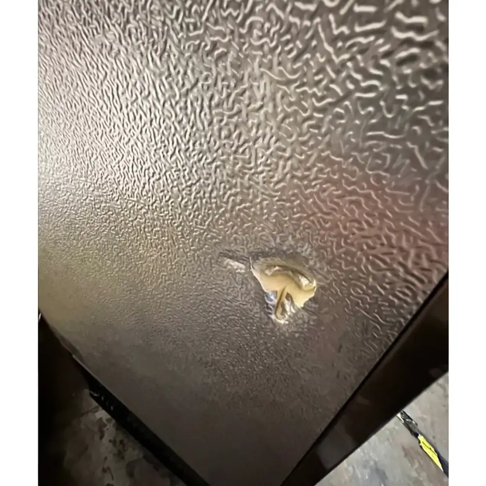 Used 32" Reach-In Freezer, 1 Solid Door, Stainless Steel, 1 Year Warranty