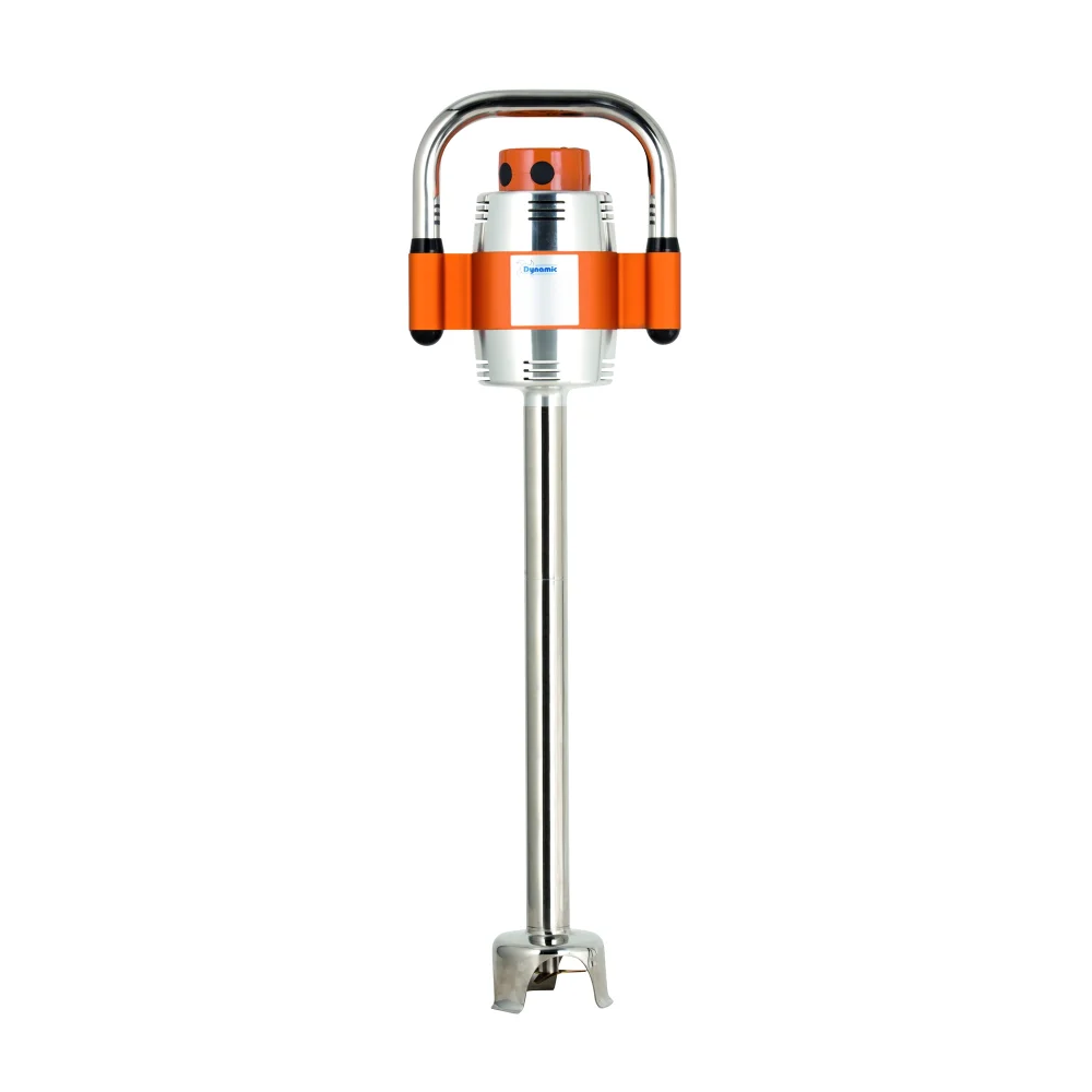 Dynamic MX002-1ES Immersion Blender, 21" Single Speed, 115V