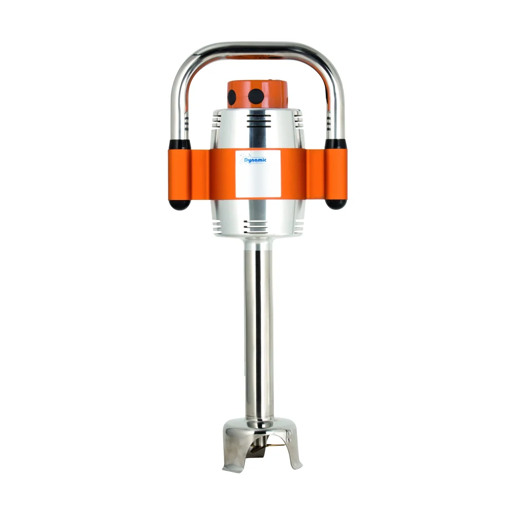 Dynamic MX041ES Immersion Blender, 12" Single Speed, 230V