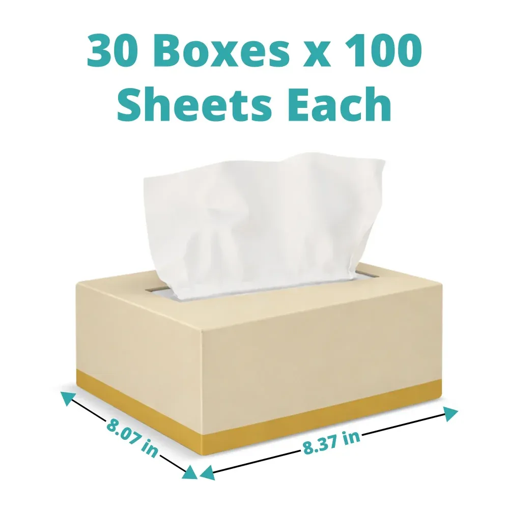 SoftTouch Series Facial Tissue Box, 8.37 x 8.07 in, 2-Ply, White, 3000/Case