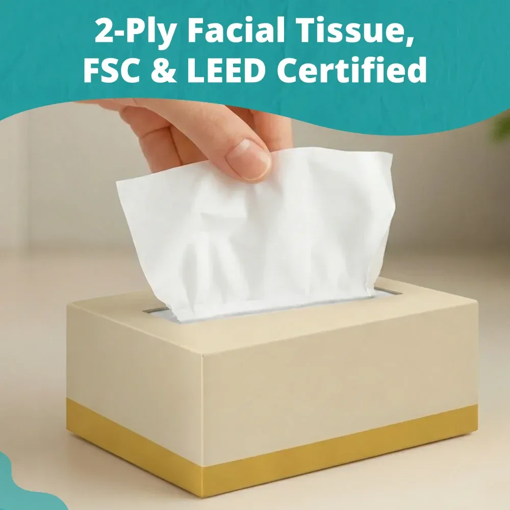 SoftTouch Series Facial Tissue Box, 8.37 x 8.07 in, 2-Ply, White, 3000/Case