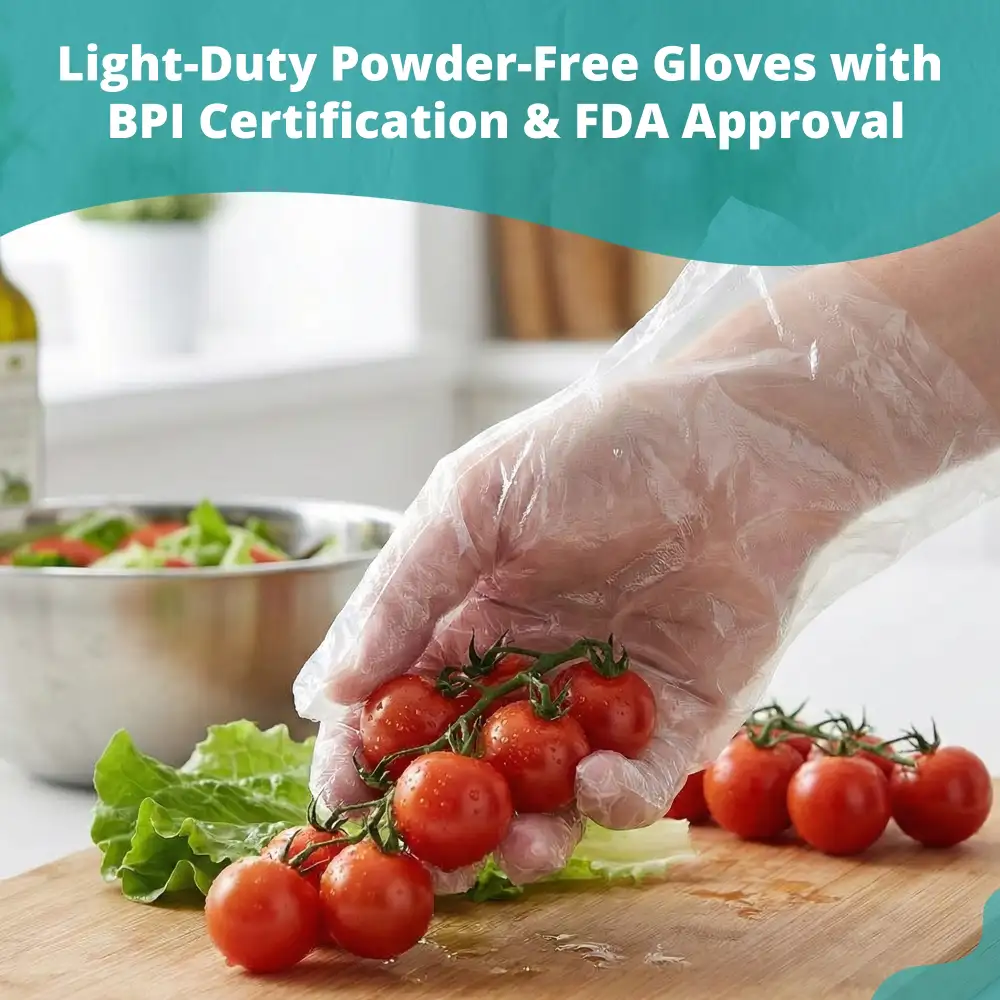 SoftTouch Series Powder-Free Disposable Polyethylene Gloves for Foodservice, Large, 10,000/Case