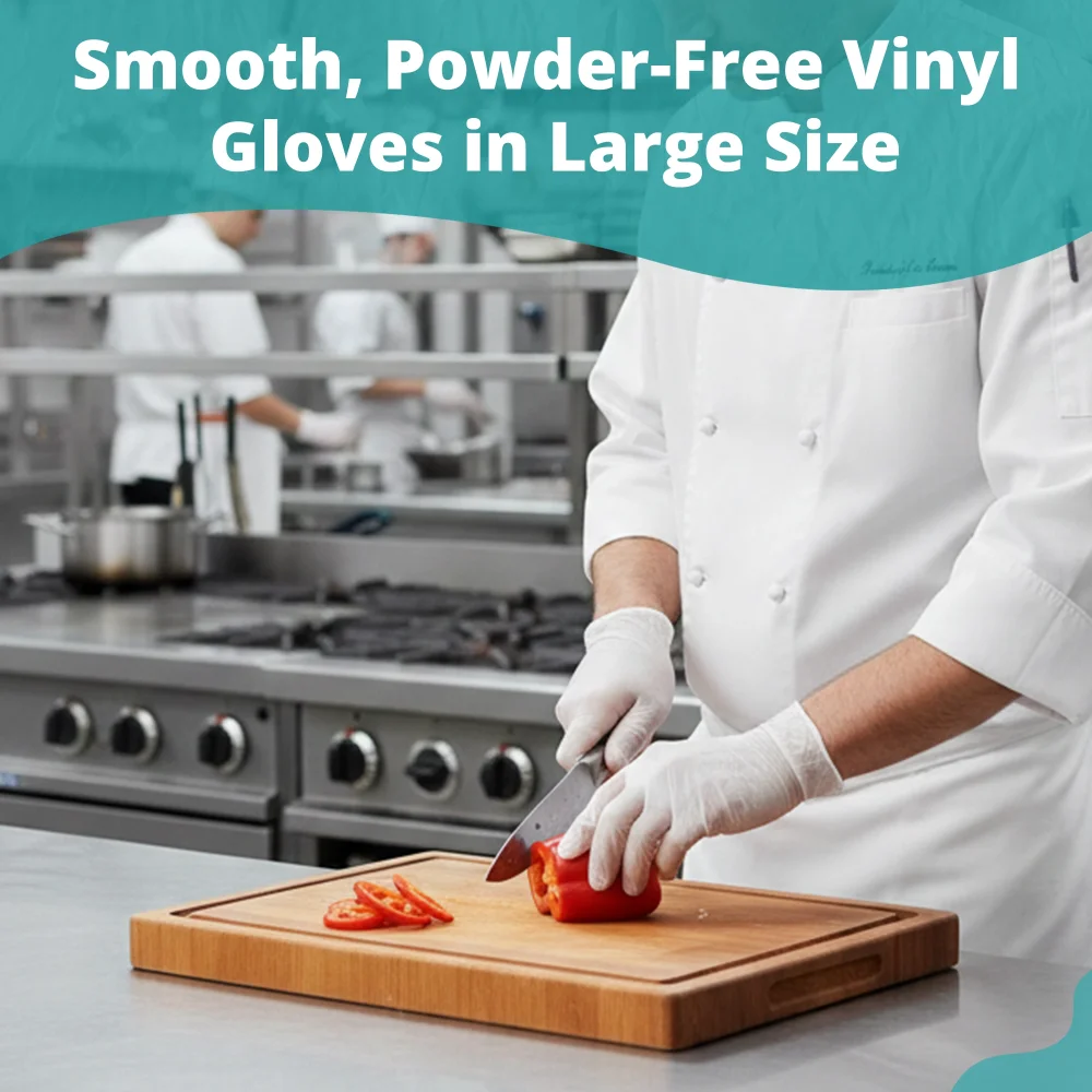 SoftTouch Series Powder-Free Disposable Vinyl Gloves for Foodservice, Clear, Large, 1000/Case