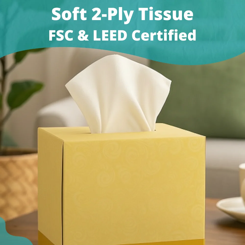 SoftTouch Series Facial Tissue Box, 8.37 x 8.07 in, 2-Ply, White, 3240/Case