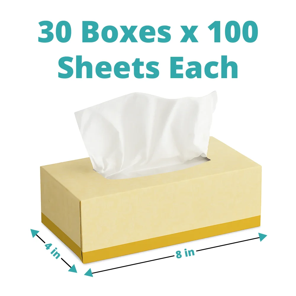 SoftTouch Series Facial Tissue Box, 2-Ply, White, 3000/Case