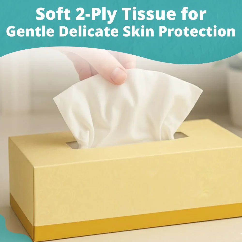 SoftTouch Series Facial Tissue Box, 2-Ply, White, 3000/Case