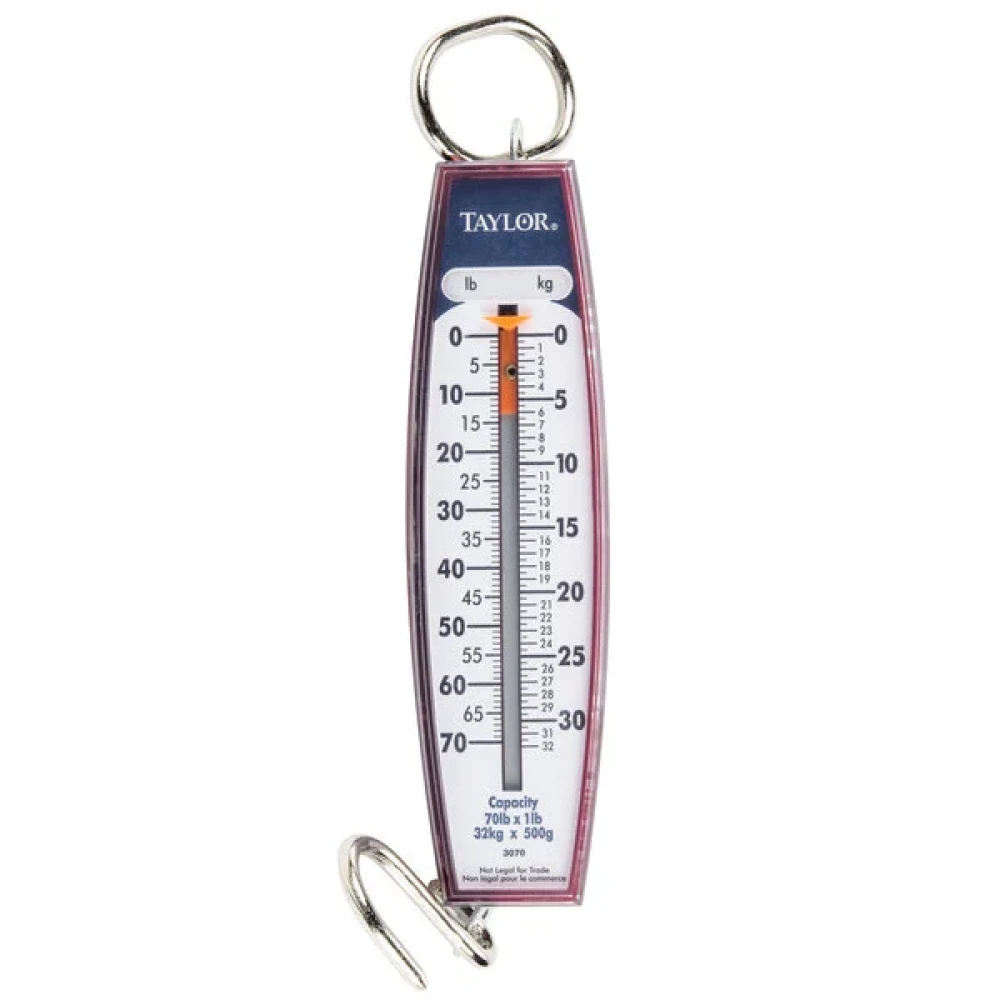 Taylor 30704104 Hanging Spring Scale, 70 Lbs
